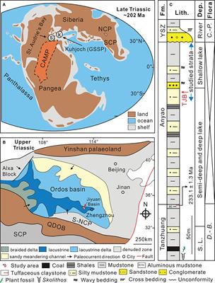 Different wildfire types promoted two-step terrestrial plant community change across the Triassic-Jurassic transition